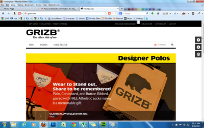 web-development-project-grizb
